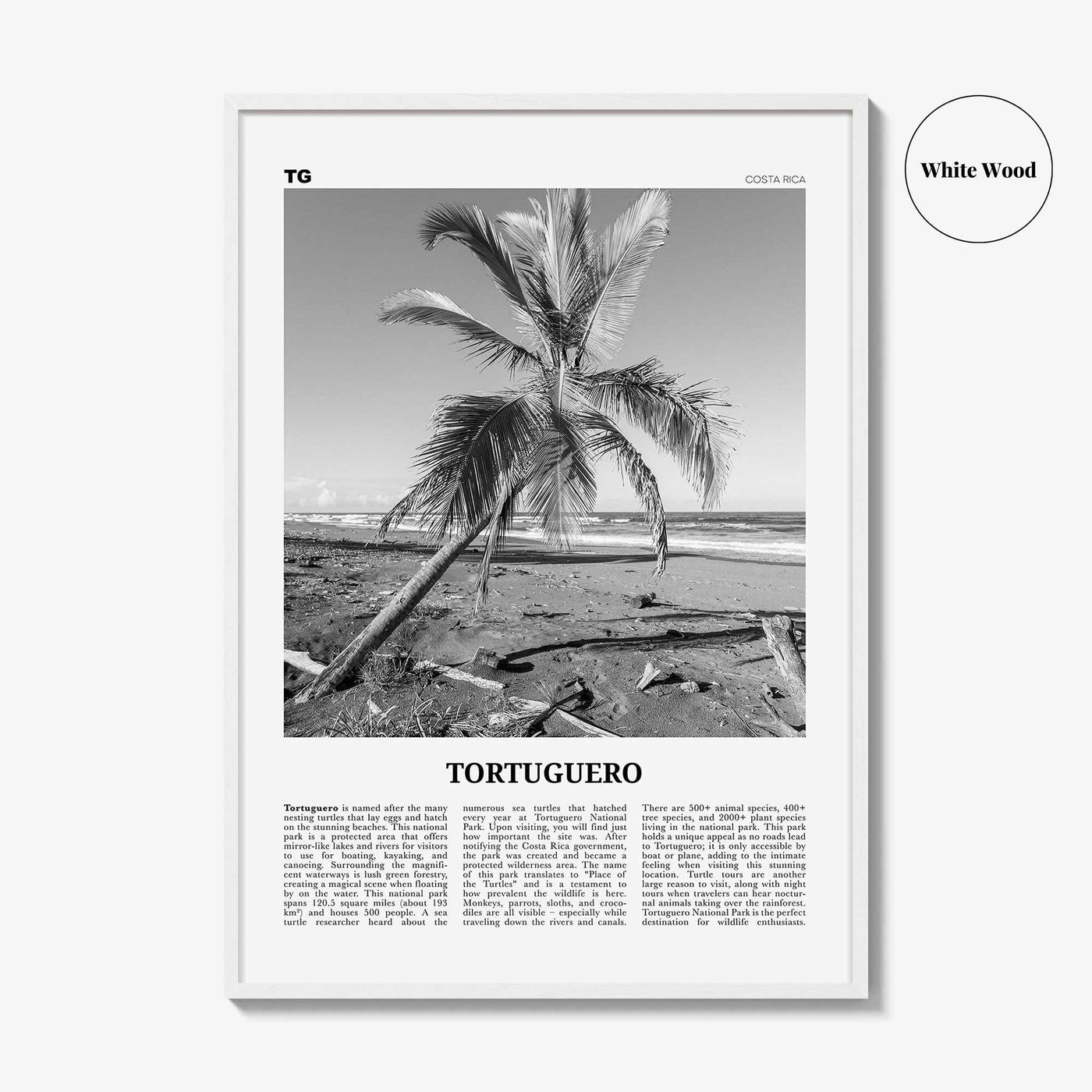 Tortuguero Print Black and White, Tortuguero Wall Art, Tortuguero Poster, Tortuguero Photo, Tortuguero Wall Décor, Costa Rica