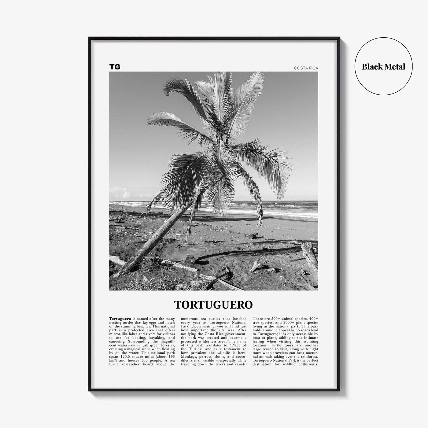 Tortuguero Print Black and White, Tortuguero Wall Art, Tortuguero Poster, Tortuguero Photo, Tortuguero Wall Décor, Costa Rica