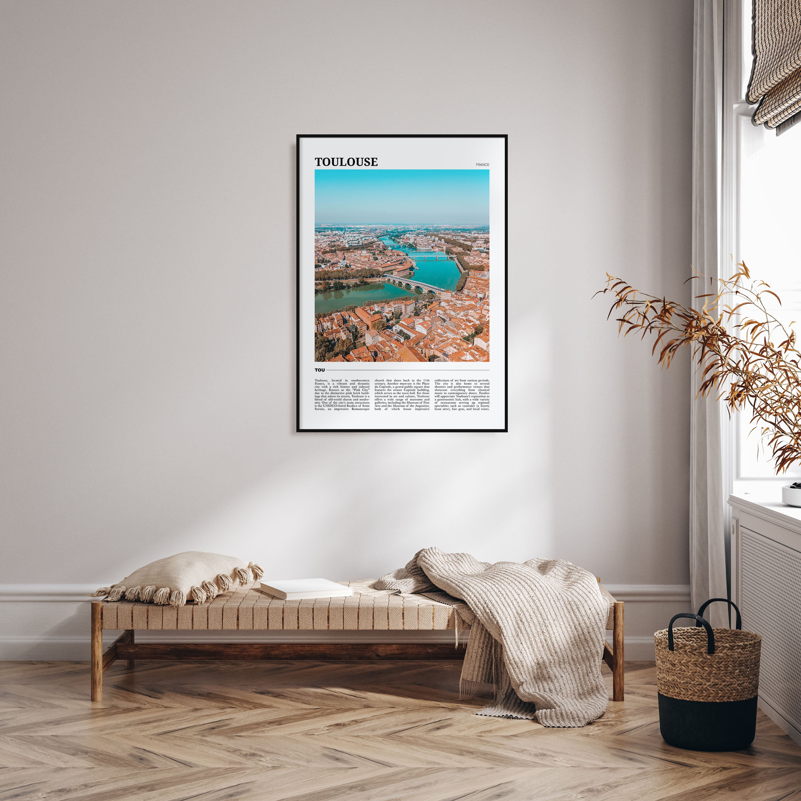 Toulouse Travel Color Poster