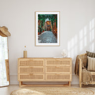 Trastevere Photo Color Poster
