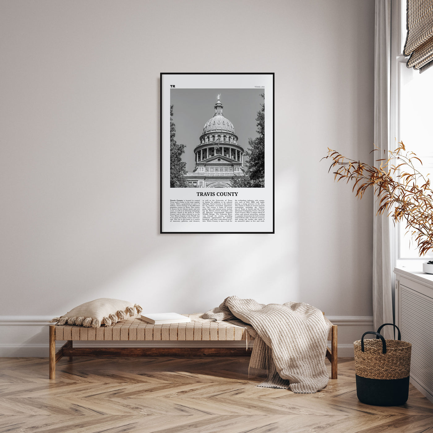Travis County Travel B&W Poster