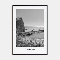 Trinidad Portrait B&W Poster