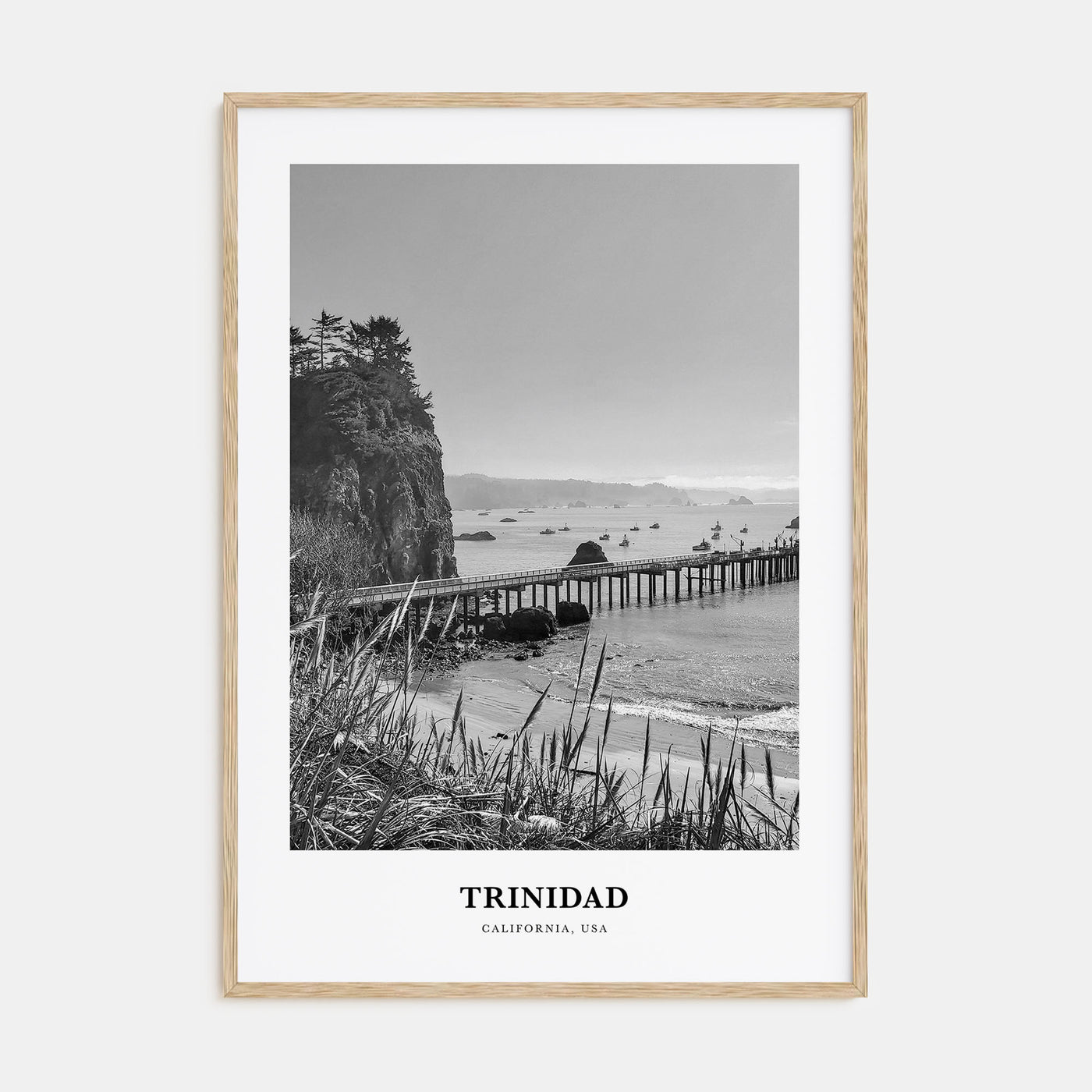 Trinidad Portrait B&W Poster