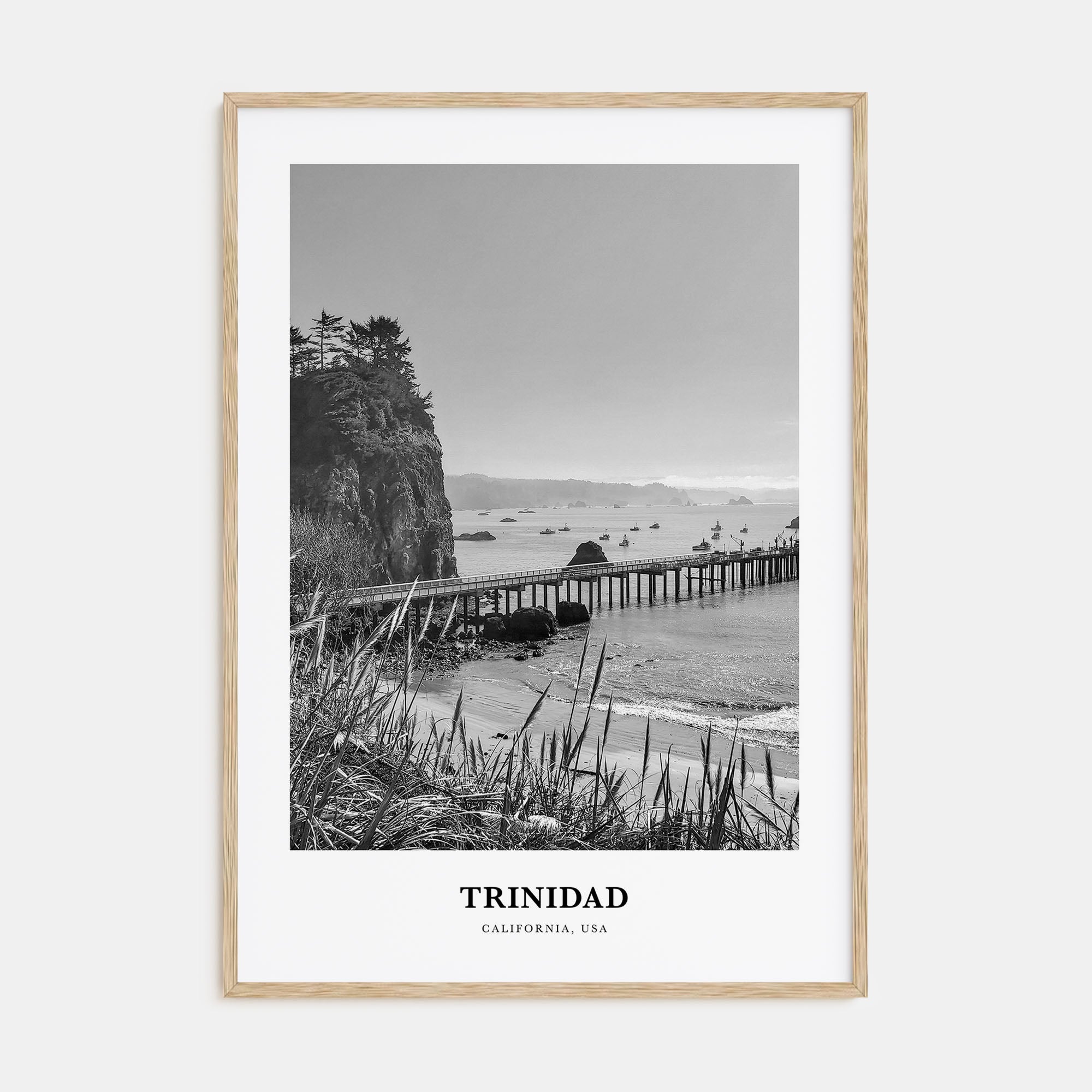 Trinidad Portrait B&W Poster