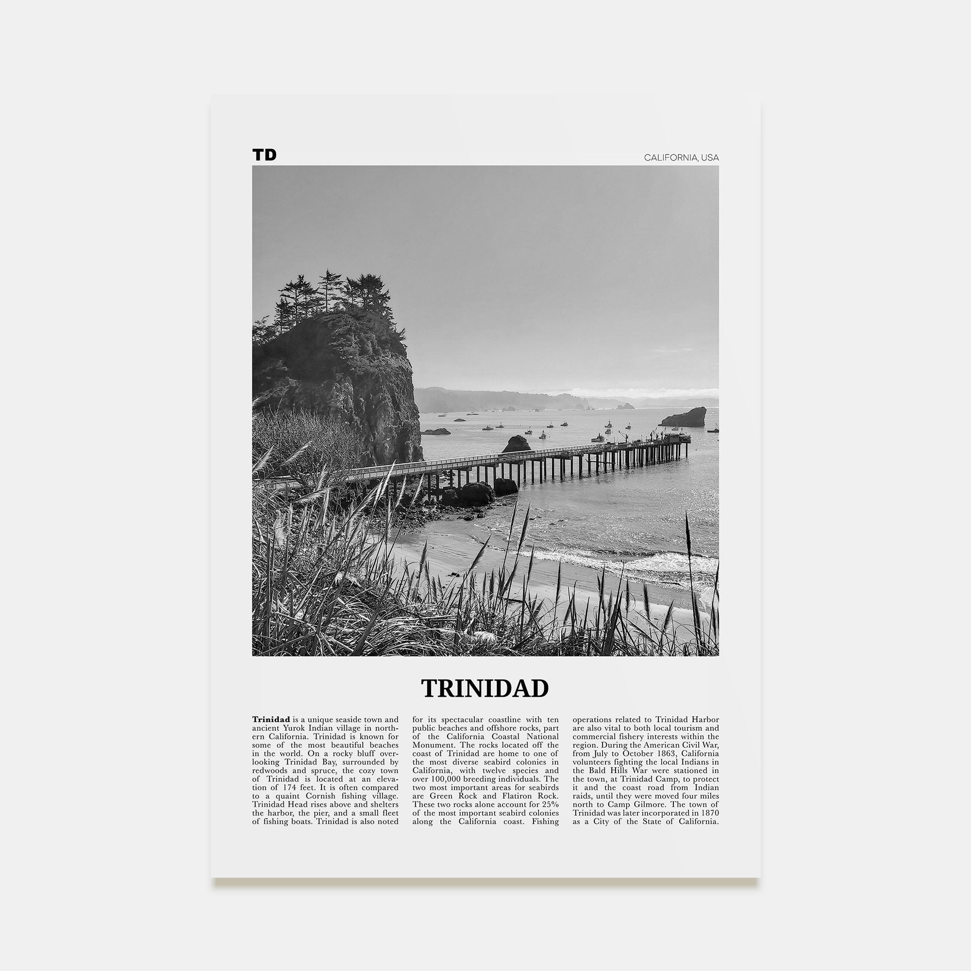 Trinidad Travel B&W Poster