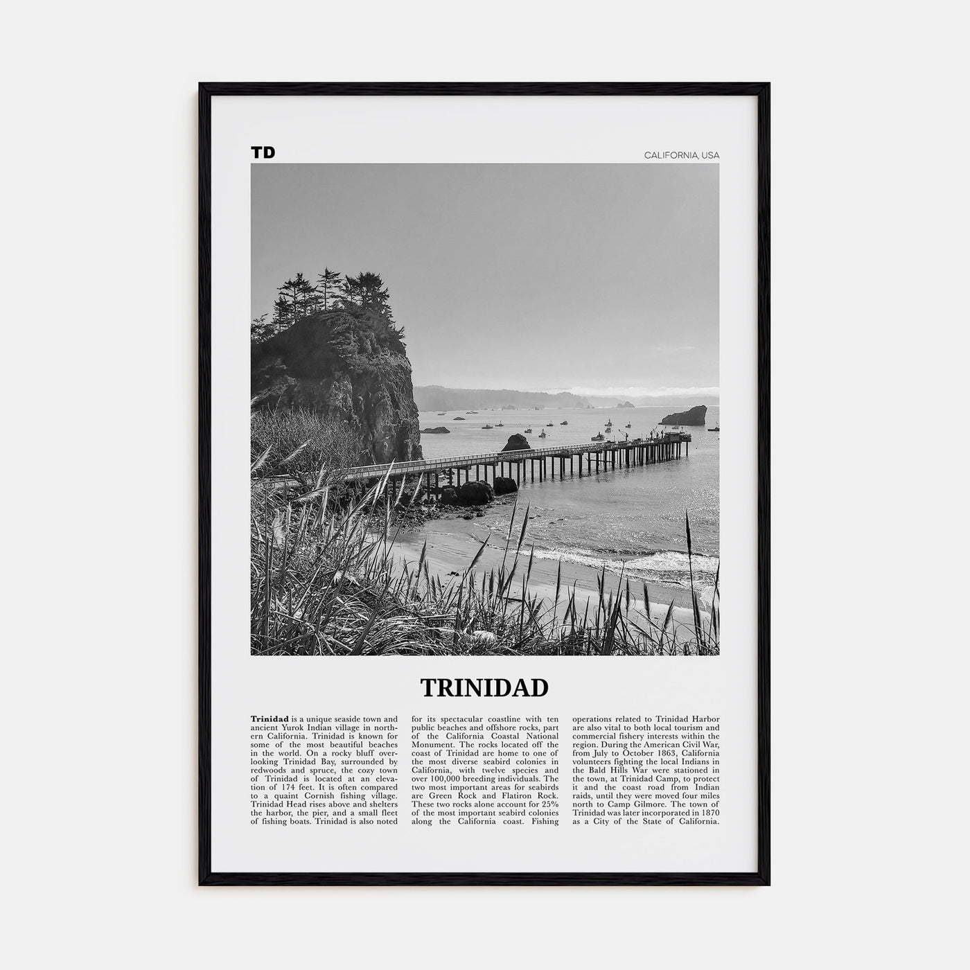 Trinidad Travel B&W Poster