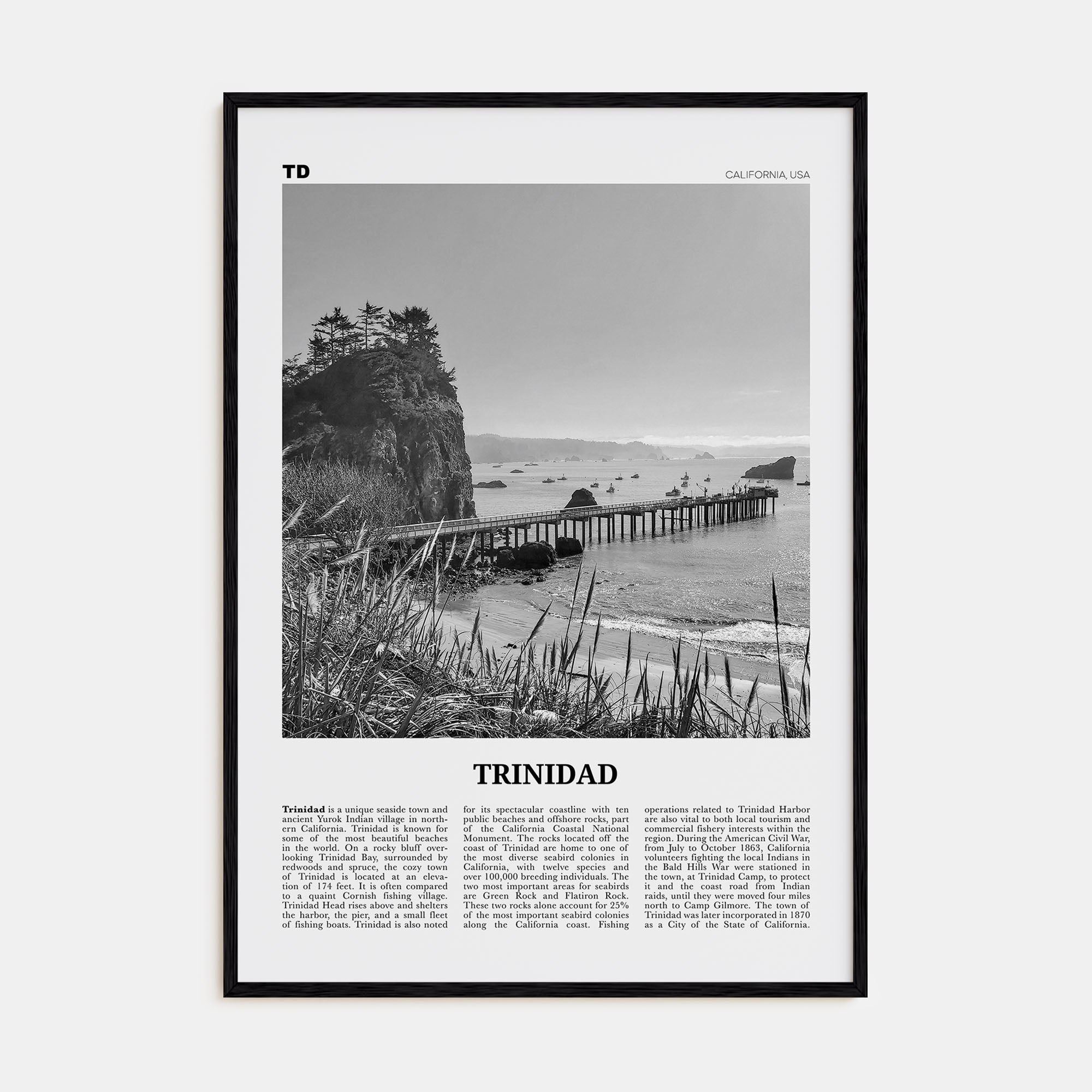 Trinidad Travel B&W Poster