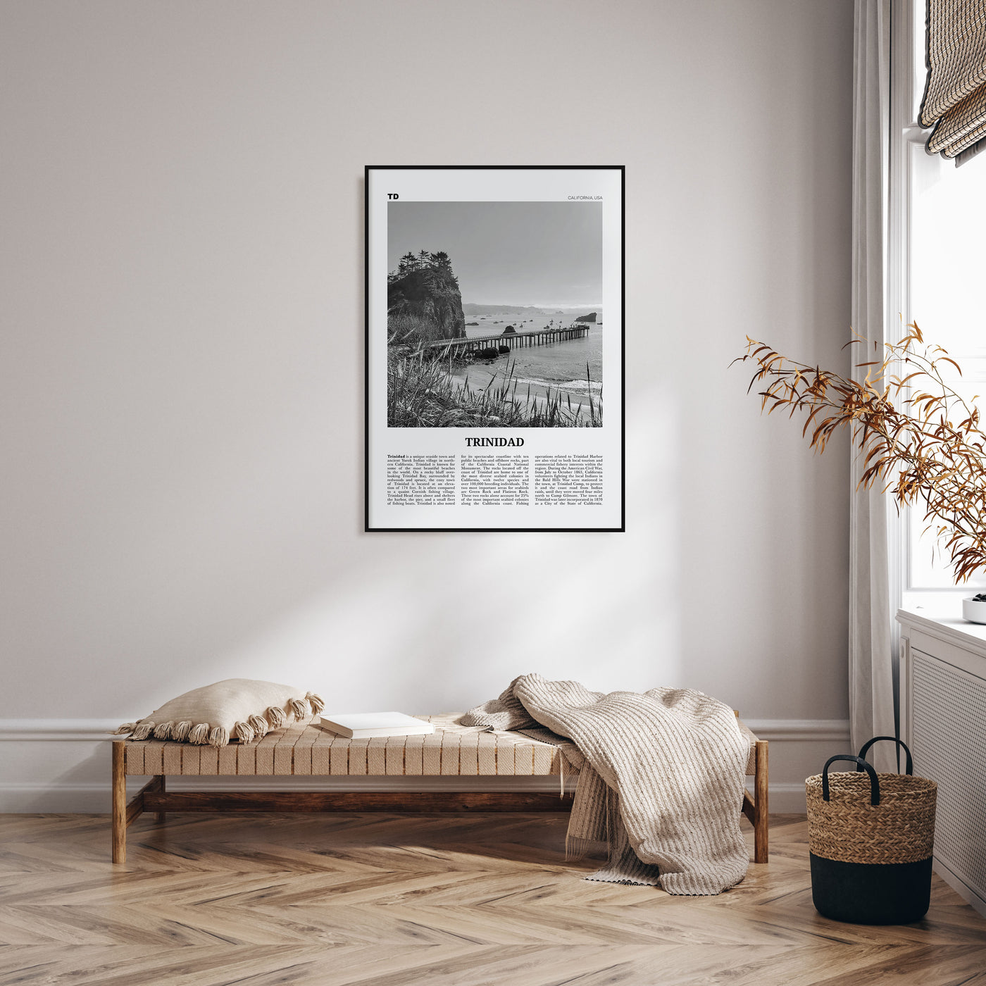 Trinidad Travel B&W Poster
