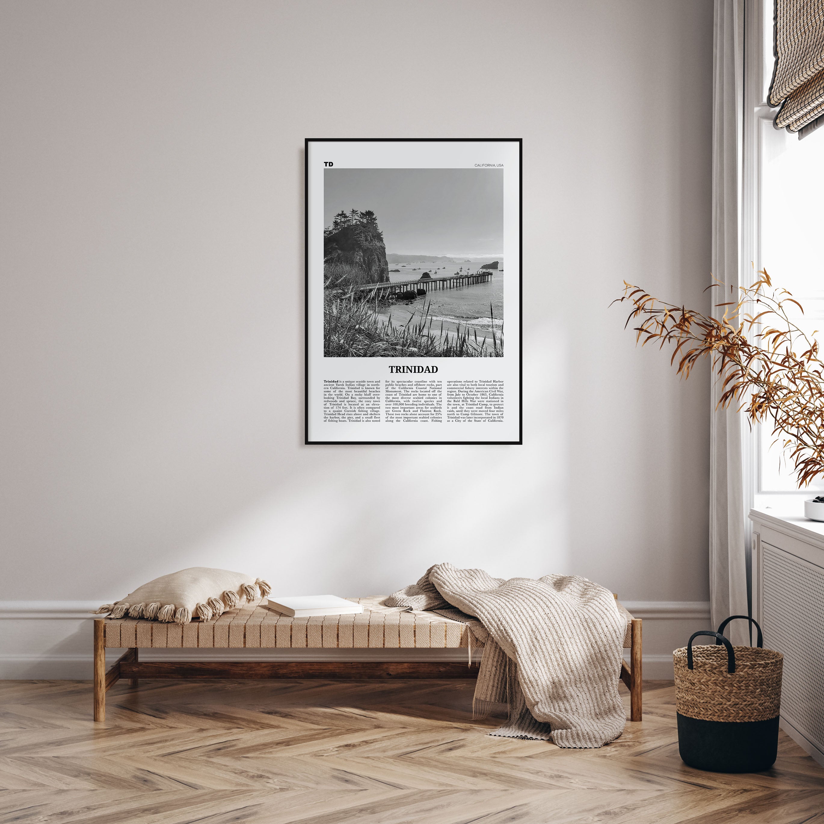Trinidad Travel B&W Poster