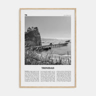 Trinidad Travel B&W Poster