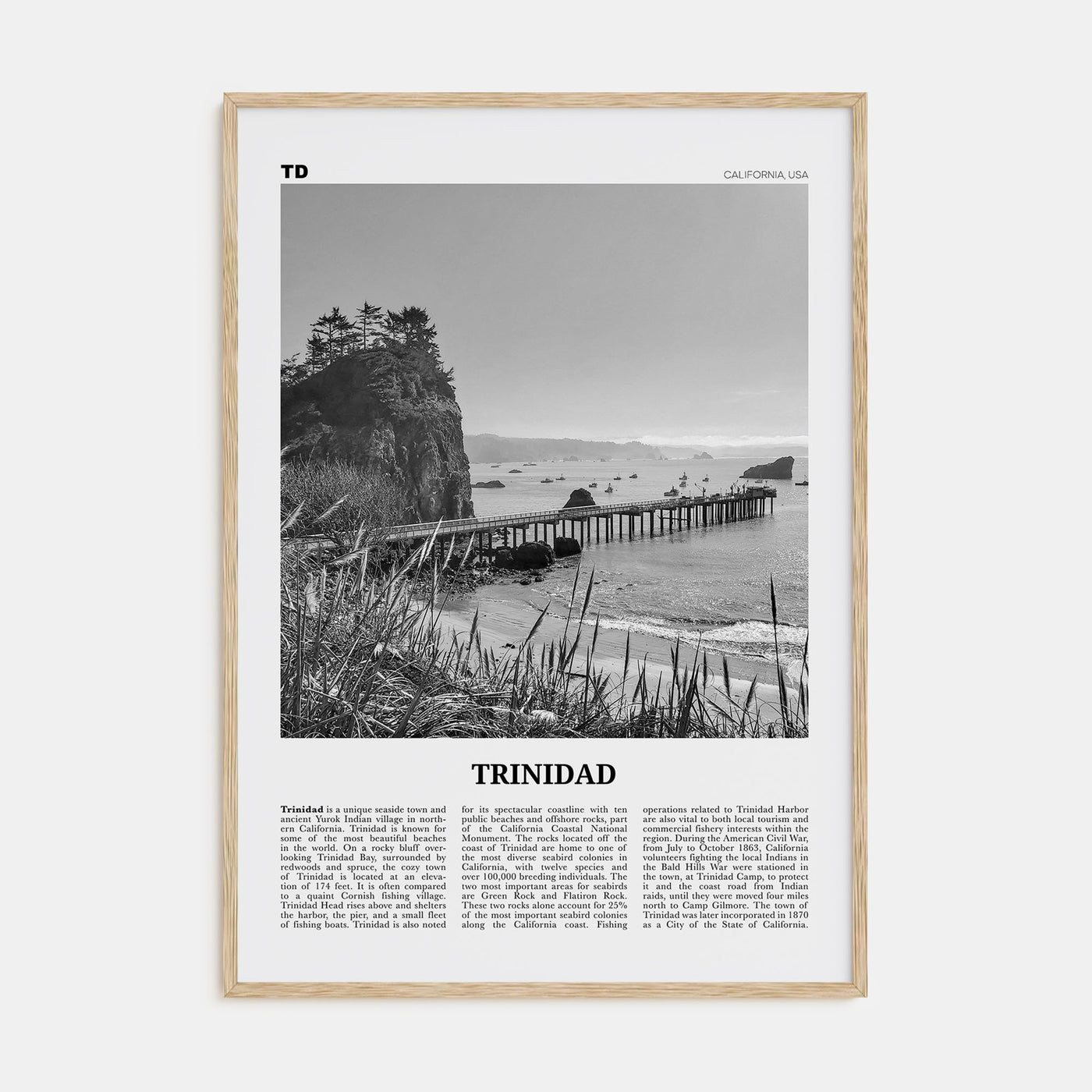 Trinidad Travel B&W Poster