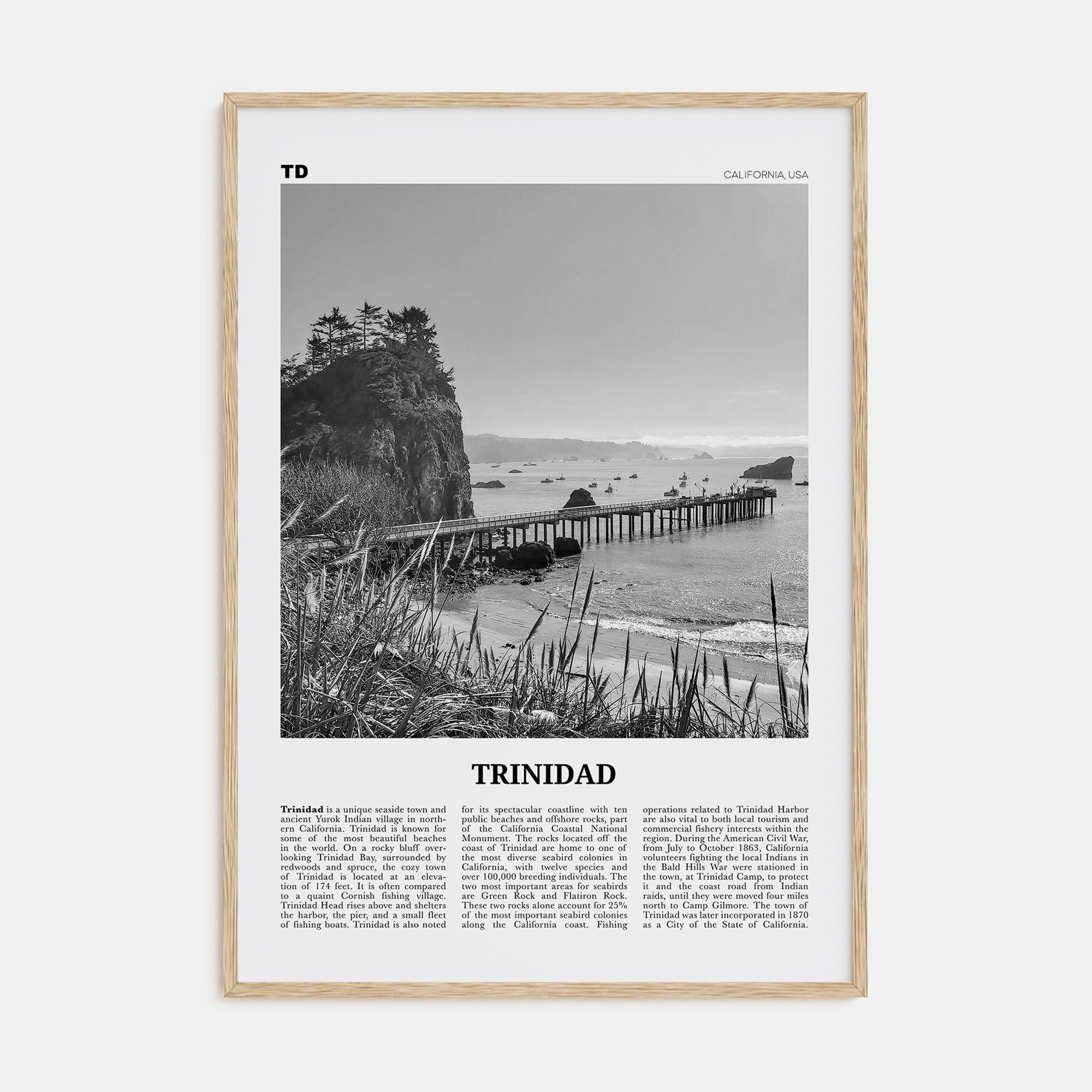 Trinidad Travel B&W Poster