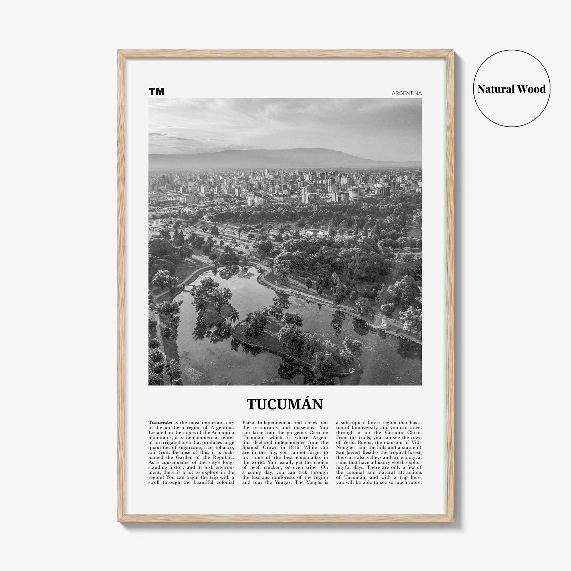 Tucuman Print Black and White, Tucumán Wall Art, Tucumán Poster, Tucumán Photo, Tucumán Wall Décor, Argentina, San Miguel de Tucumán