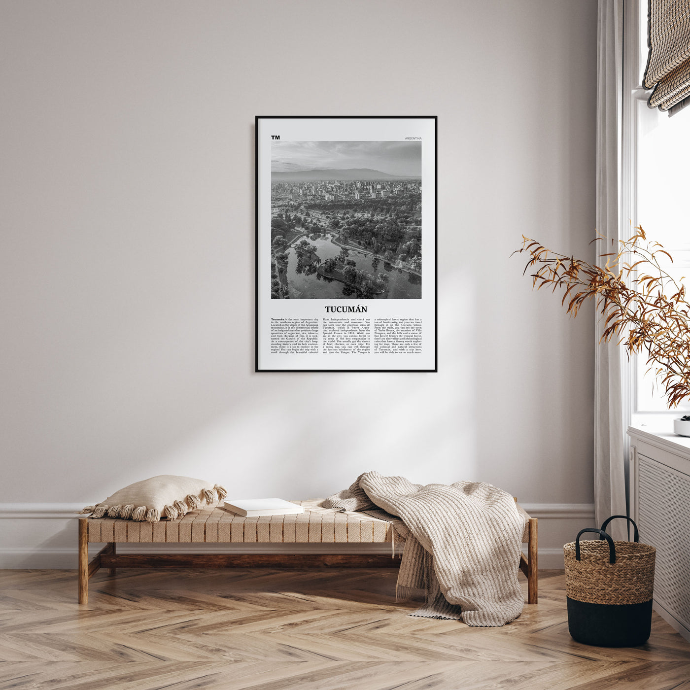 Tucumán Travel B&W Poster