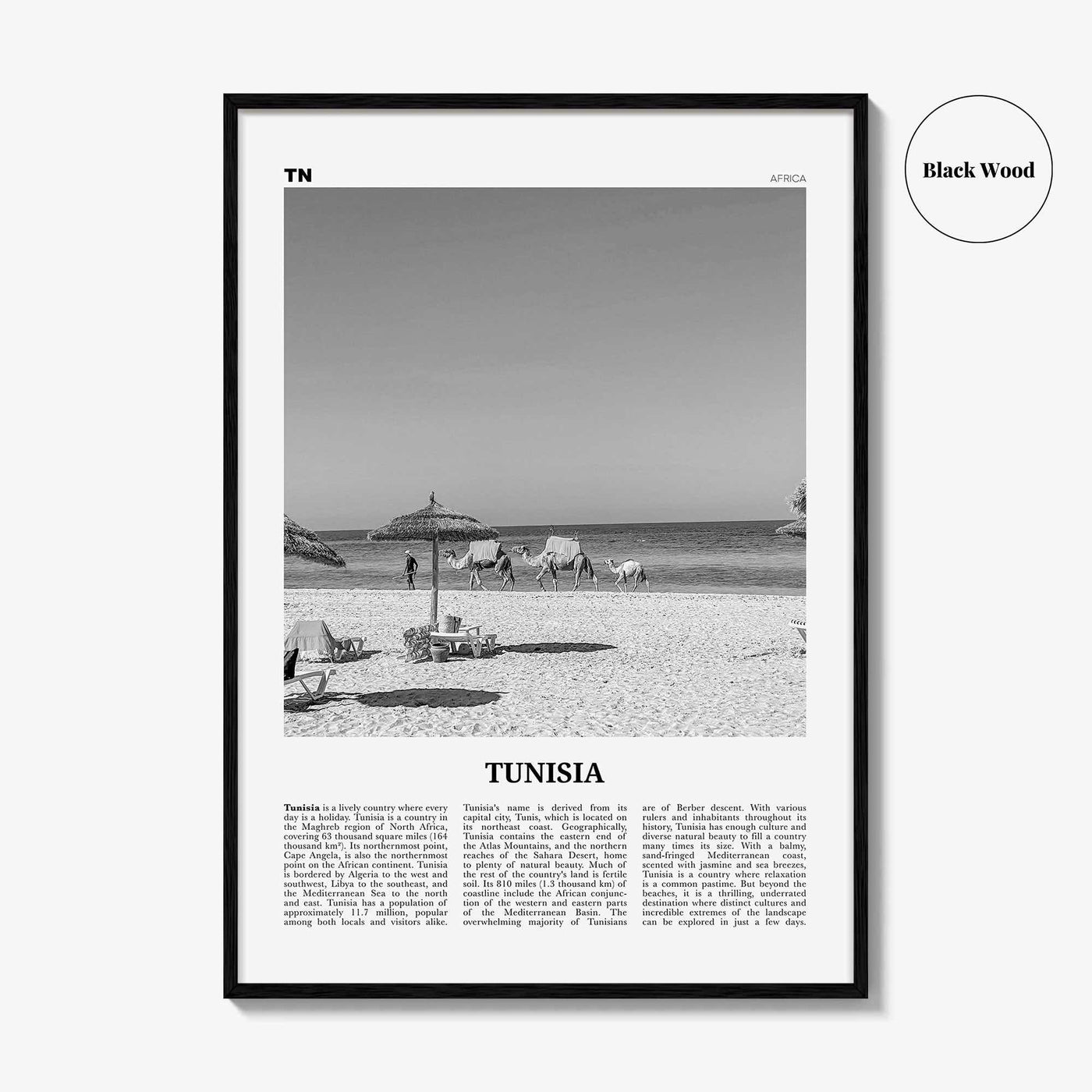 Tunisia Print Black and White, Tunisia Wall Art, Tunisia Poster, Tunisia Photo, Tūnis, Tunisie, Tunis, Tunisienne, Maghreb, Africa