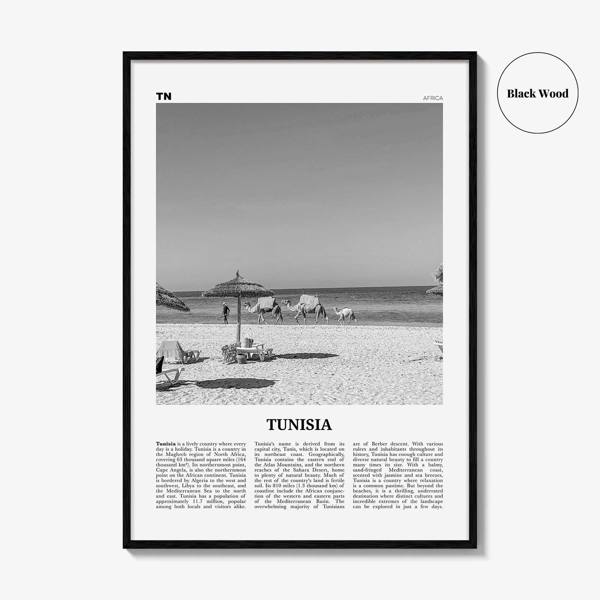 Tunisia Print Black and White, Tunisia Wall Art, Tunisia Poster, Tunisia Photo, Tūnis, Tunisie, Tunis, Tunisienne, Maghreb, Africa