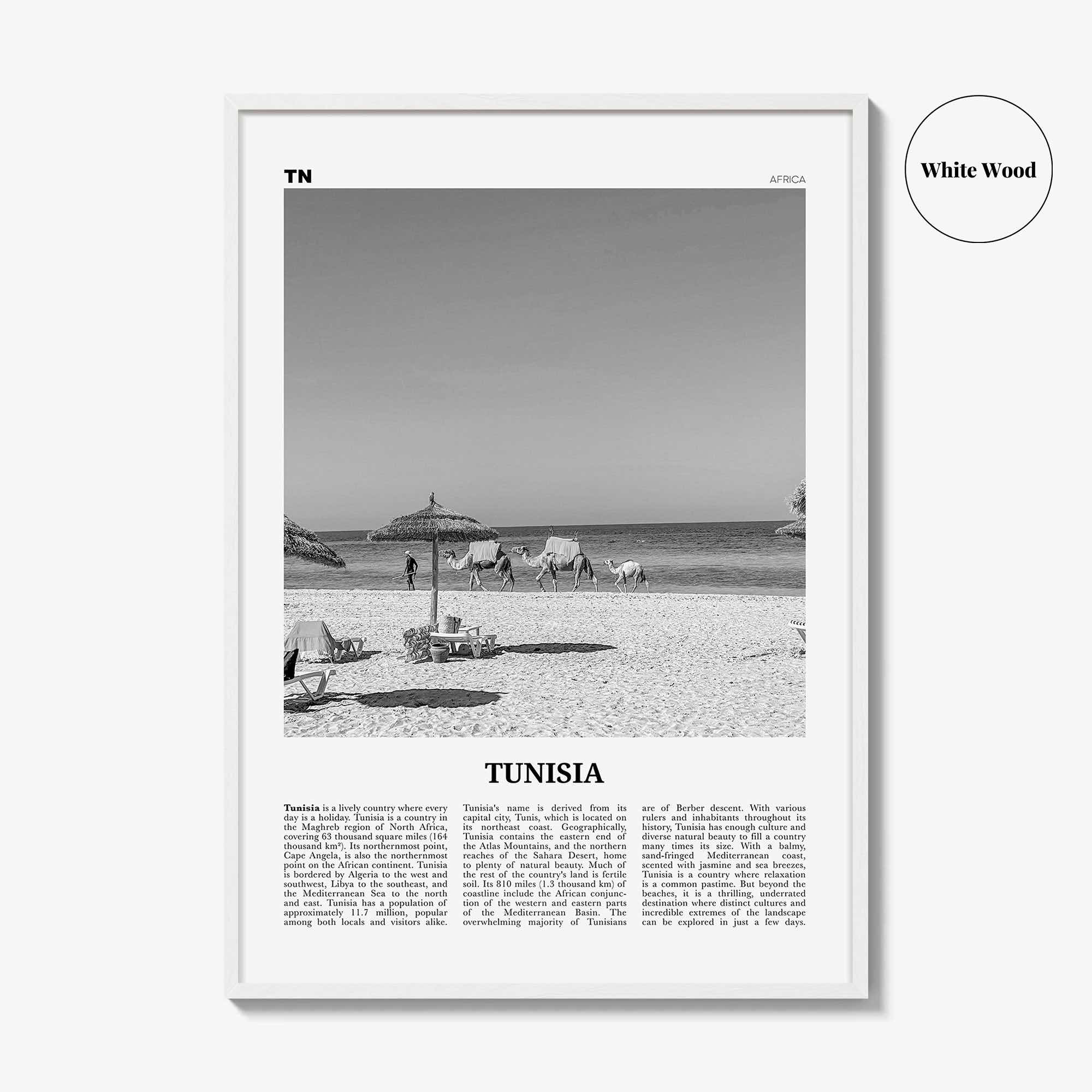 Tunisia Print Black and White, Tunisia Wall Art, Tunisia Poster, Tunisia Photo, Tūnis, Tunisie, Tunis, Tunisienne, Maghreb, Africa