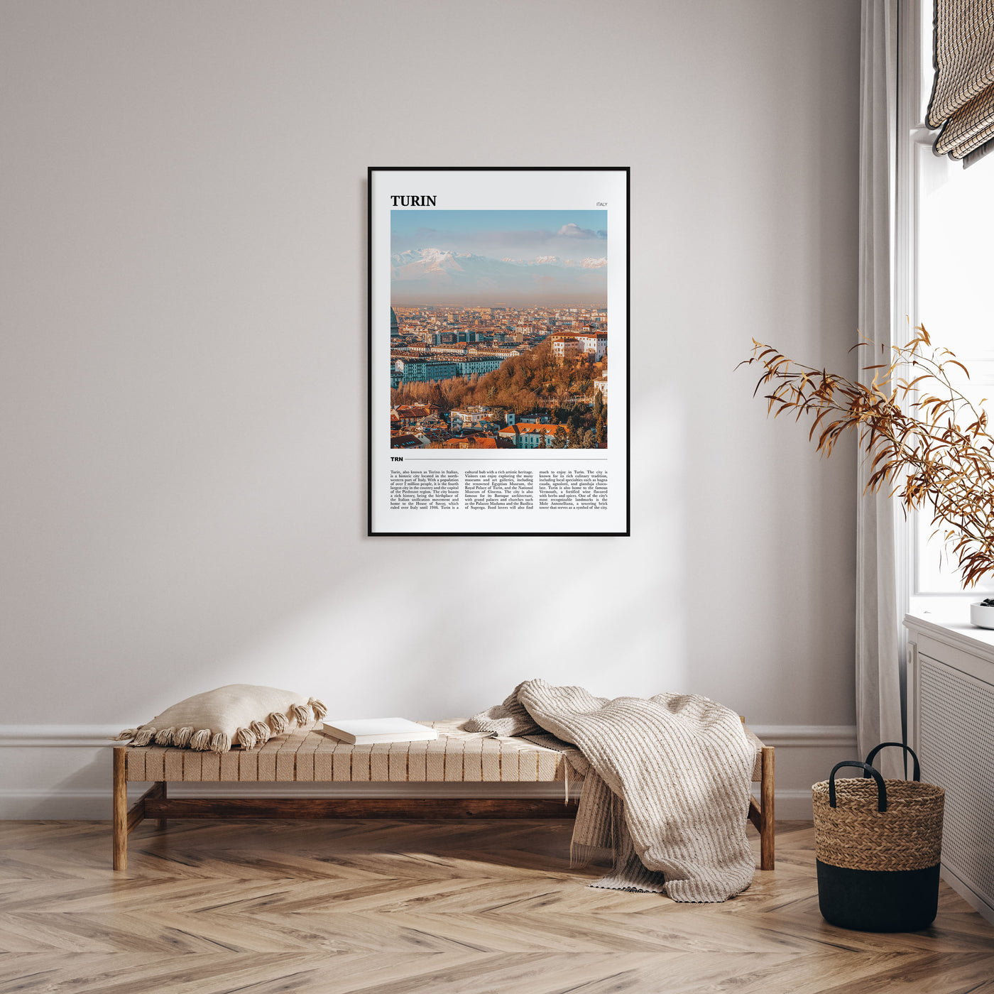 Turin Travel Color Poster