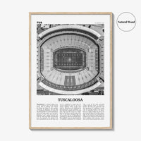 Tuscaloosa Print Black and White No 1, Tuscaloosa Wall Art, Tuscaloosa Poster, Tuscaloosa Photo, Tuscaloosa Wall Décor, Alabama, USA