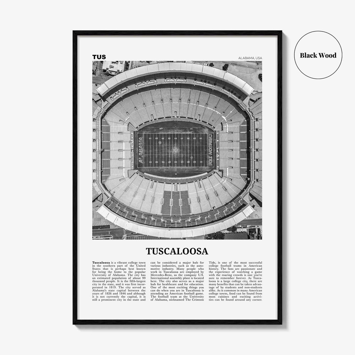 Tuscaloosa Print Black and White No 1, Tuscaloosa Wall Art, Tuscaloosa Poster, Tuscaloosa Photo, Tuscaloosa Wall Décor, Alabama, USA