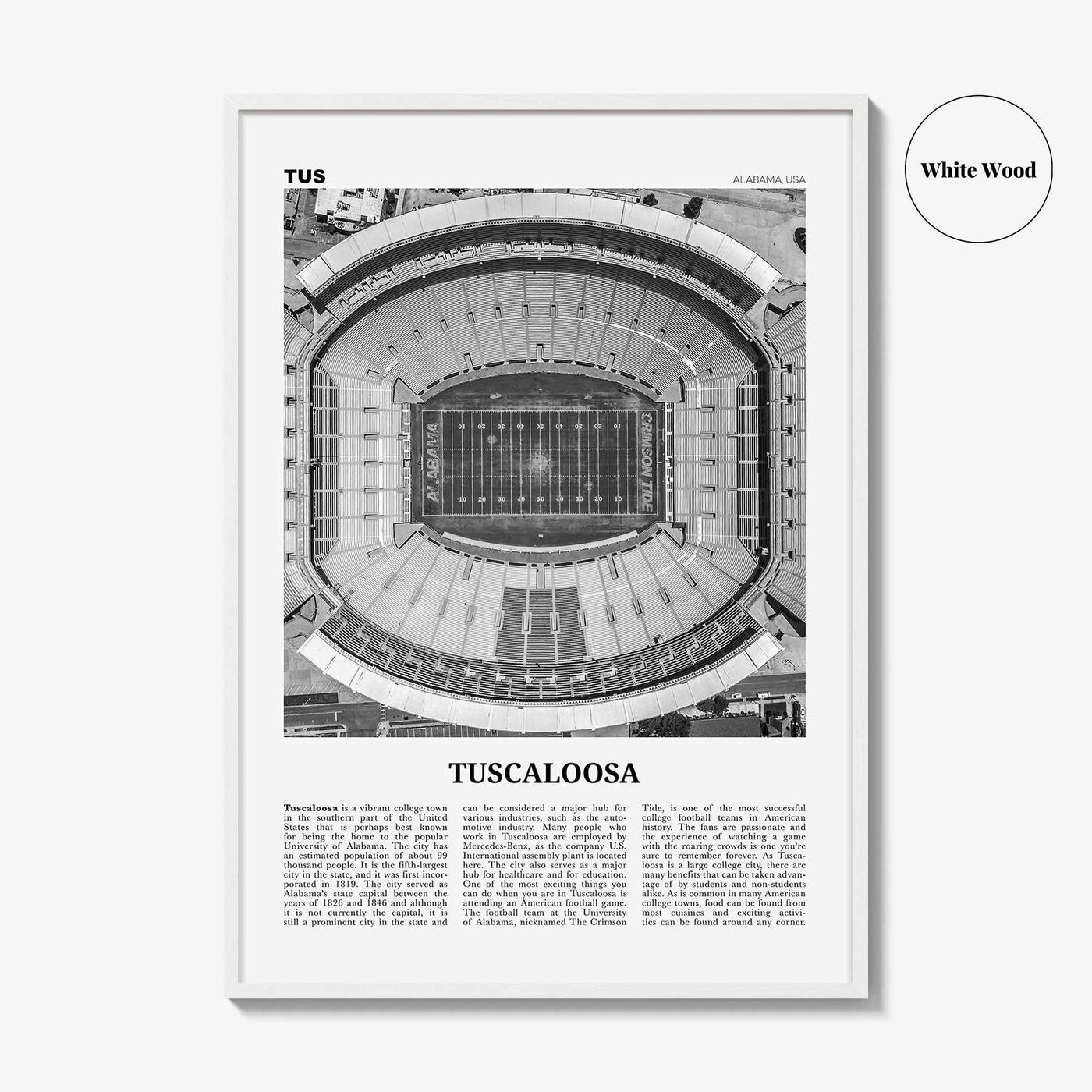 Tuscaloosa Print Black and White No 1, Tuscaloosa Wall Art, Tuscaloosa Poster, Tuscaloosa Photo, Tuscaloosa Wall Décor, Alabama, USA