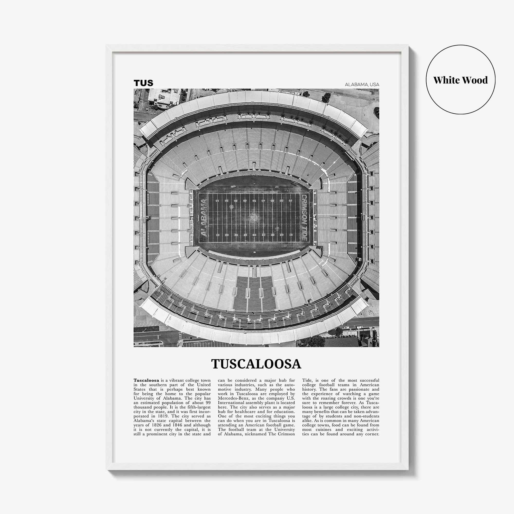 Tuscaloosa Print Black and White No 1, Tuscaloosa Wall Art, Tuscaloosa Poster, Tuscaloosa Photo, Tuscaloosa Wall Décor, Alabama, USA