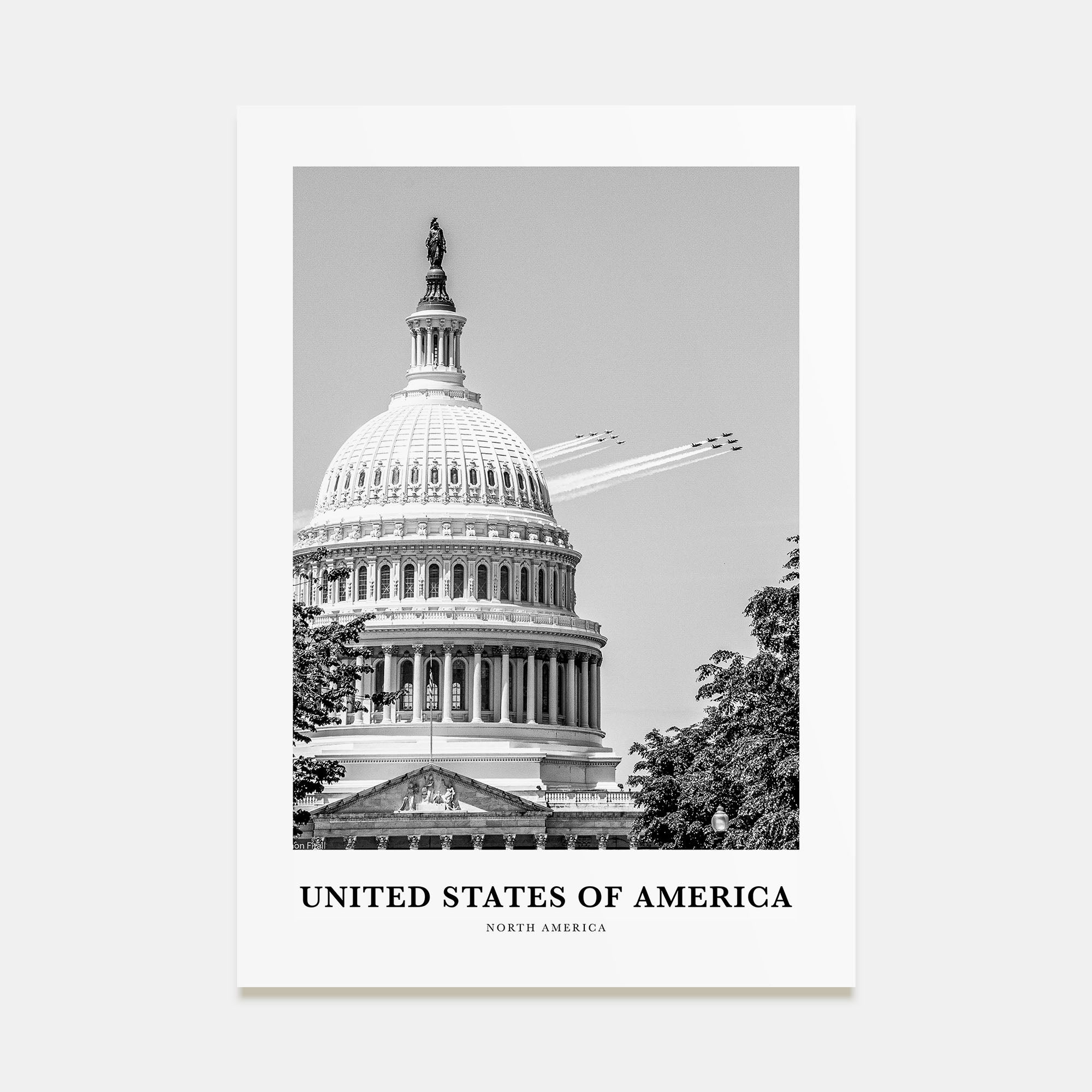 United States of America Portrait B&W No 2 Poster