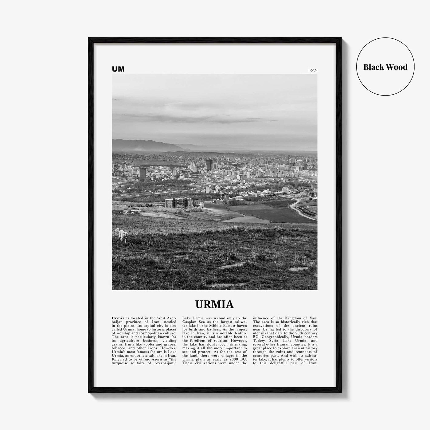 Urmia County Print Black and White, Urmia Region Wall Art, Urmia Region Poster, Urmia Region Photo, Urmia Region Décor, Region Map