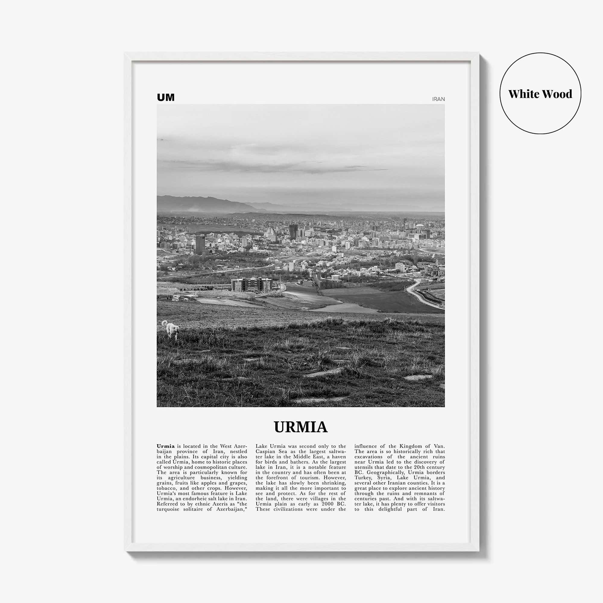 Urmia County Print Black and White, Urmia Region Wall Art, Urmia Region Poster, Urmia Region Photo, Urmia Region Décor, Region Map