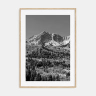 Utah Photo B&W No 1 Poster