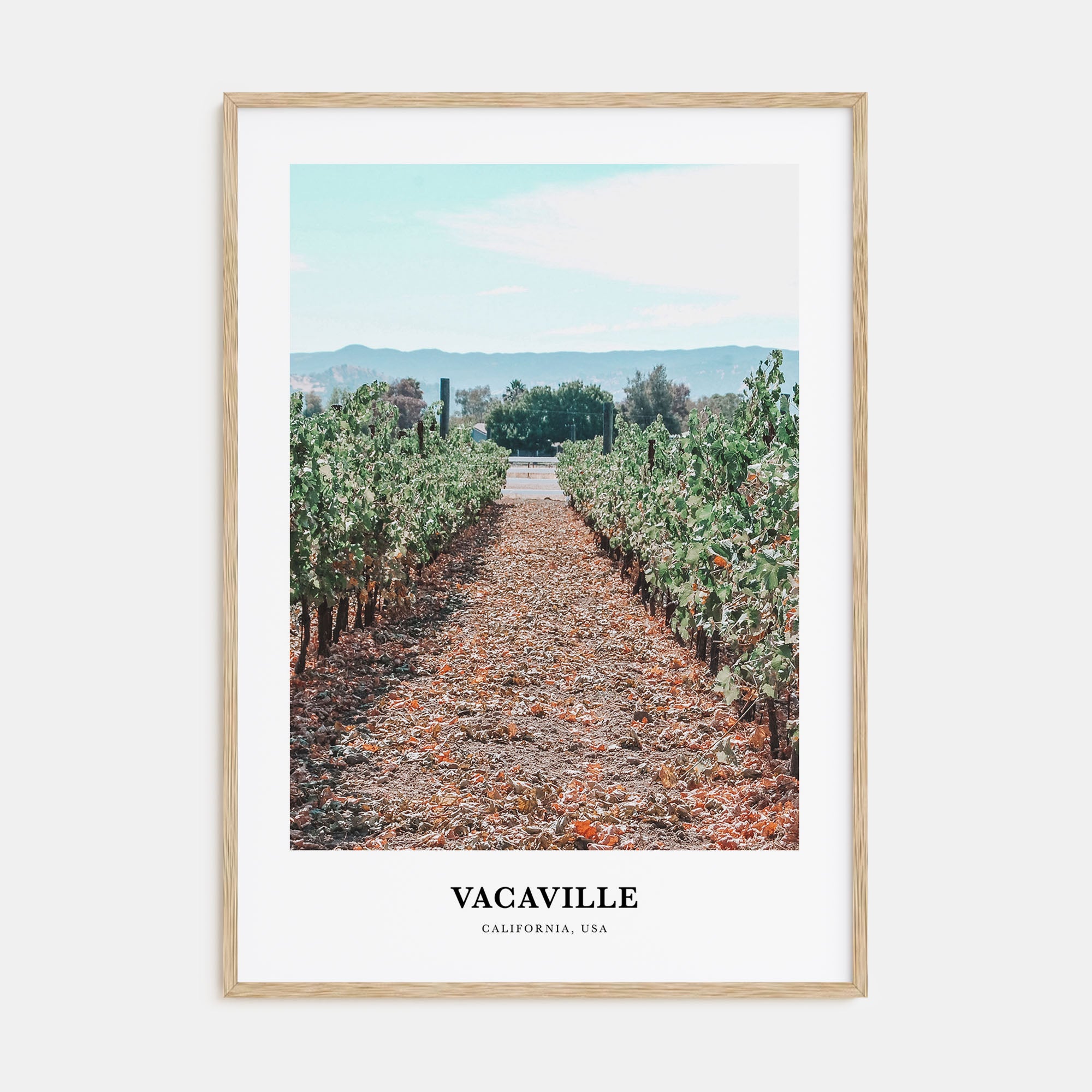 Vacaville Portrait Color Poster