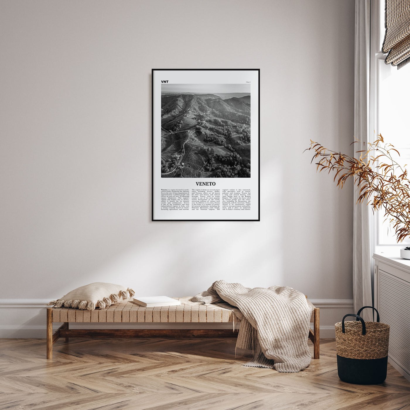 Veneto Travel B&W Poster