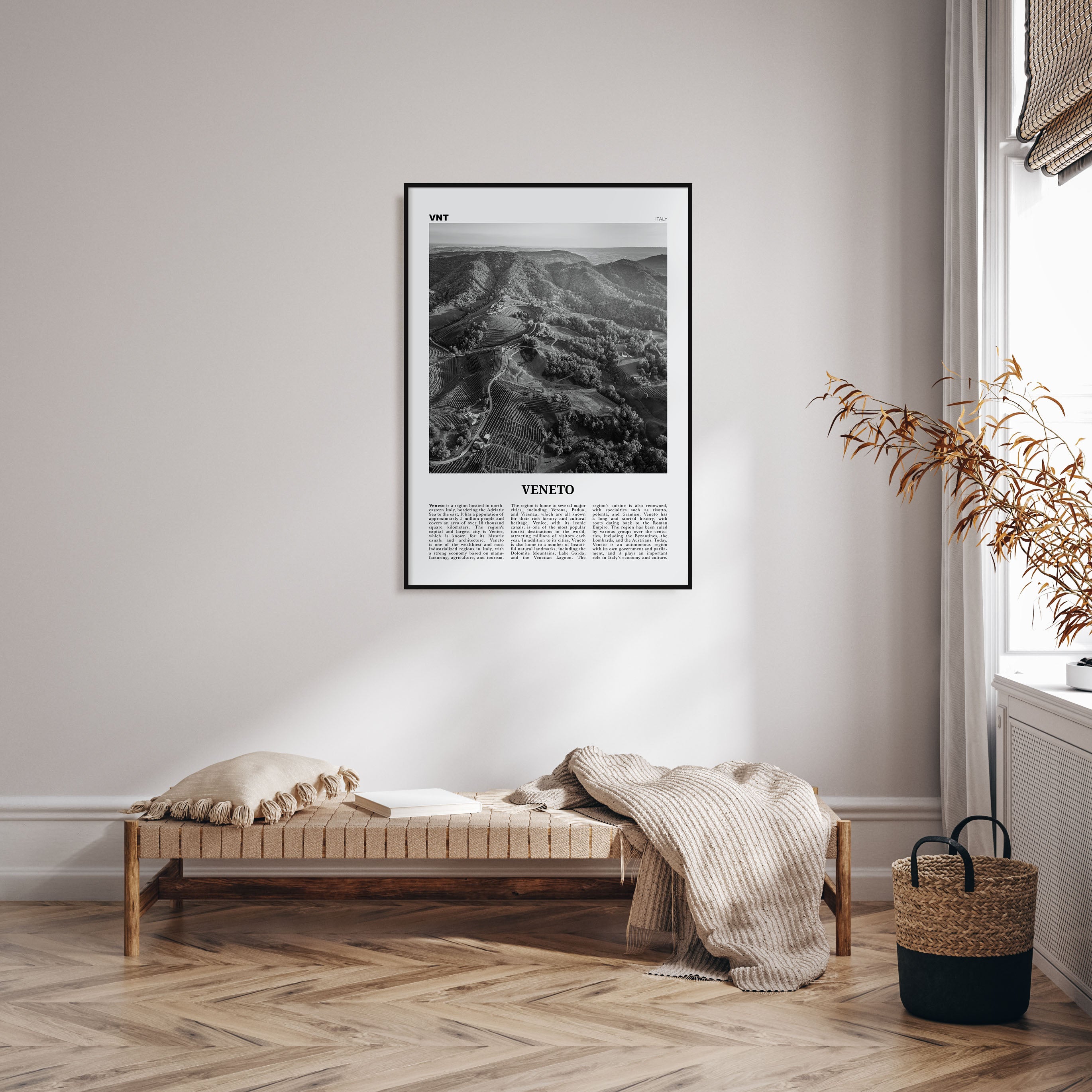 Veneto Travel B&W Poster