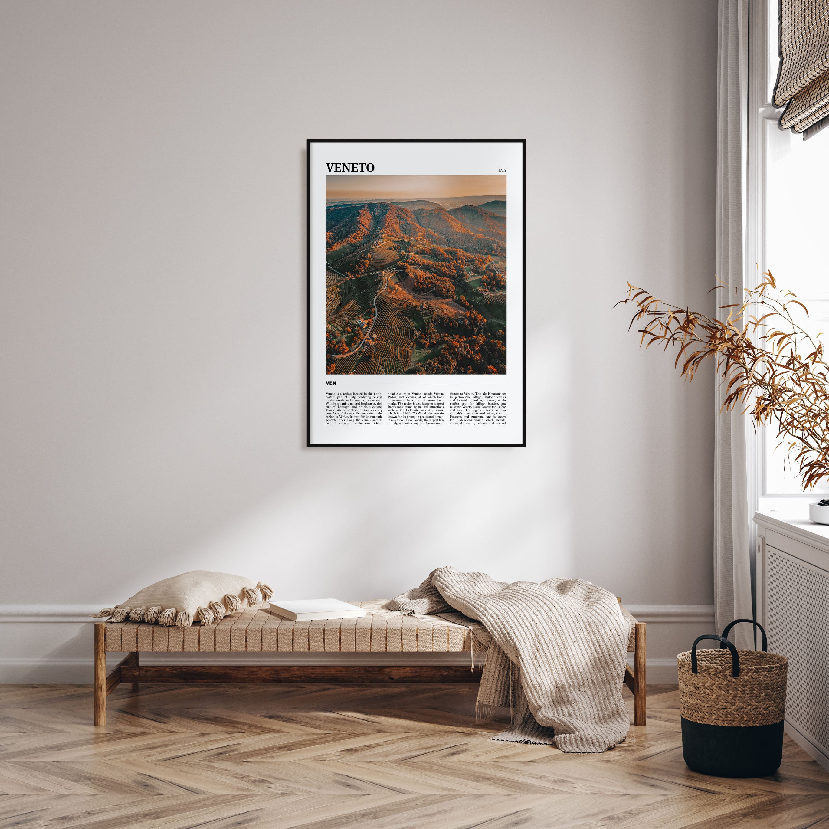 Veneto Travel Color Poster