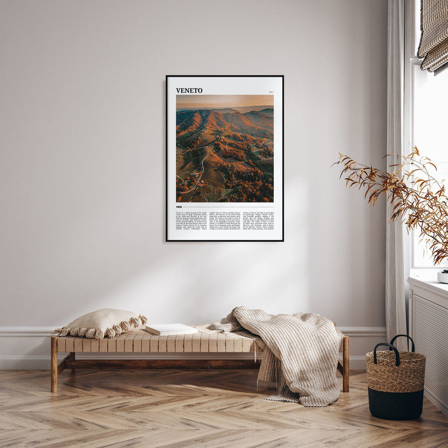 Veneto Travel Color Poster