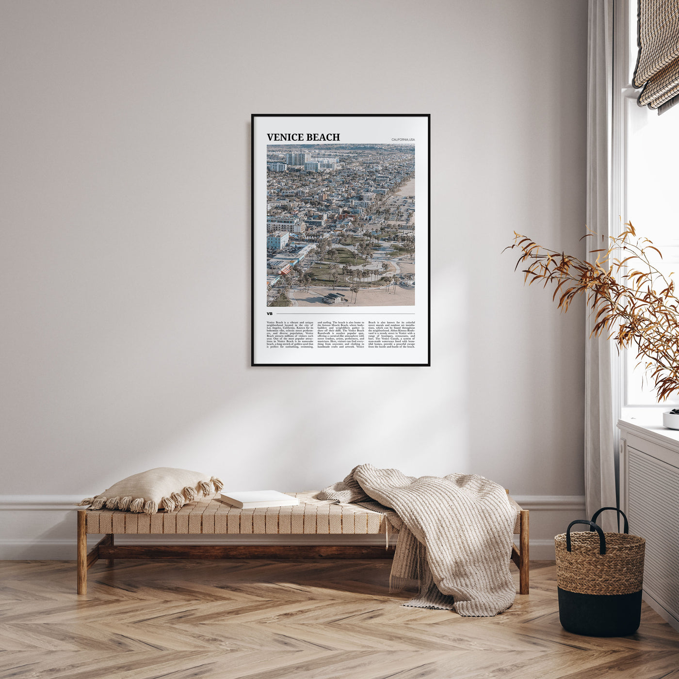 Venice Beach Travel Color Poster