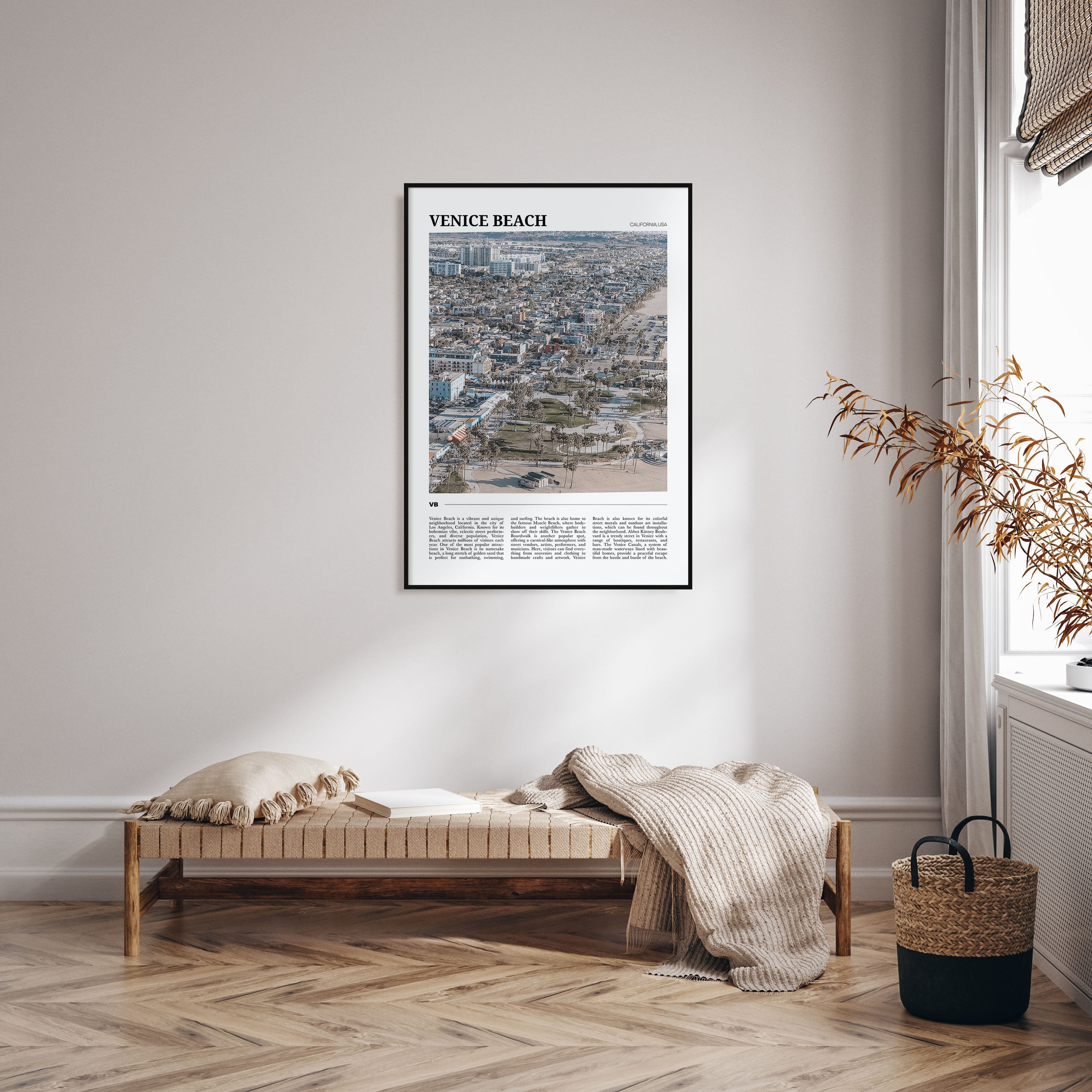 Venice Beach Travel Color Poster