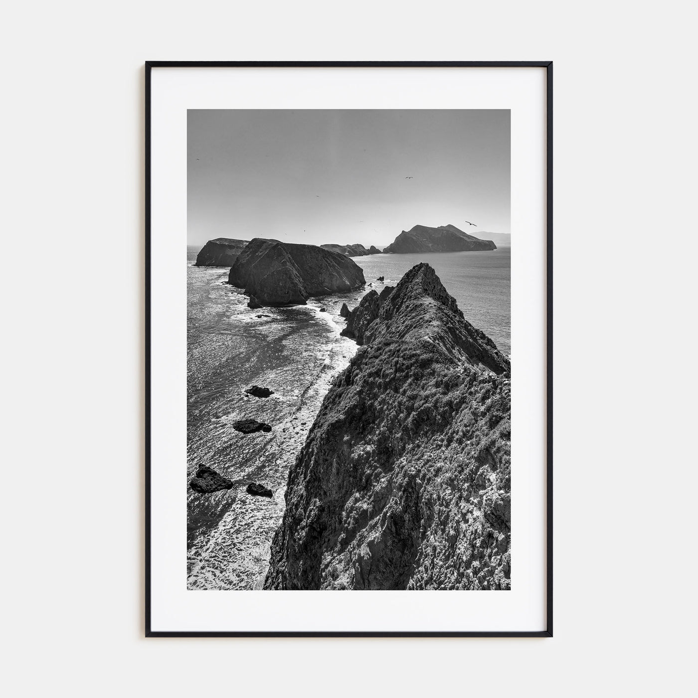 Ventura Photo B&W No 3 Poster