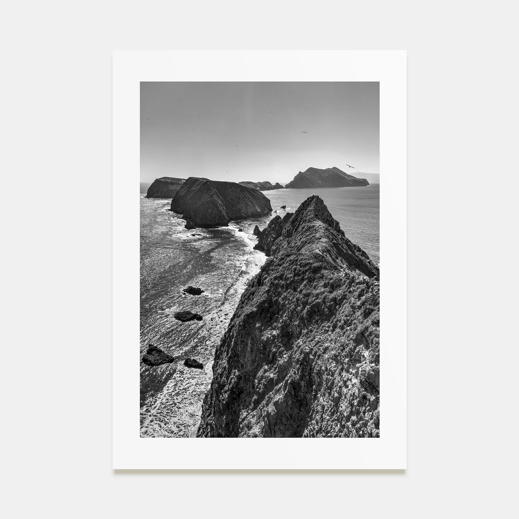 Ventura Photo B&W No 3 Poster