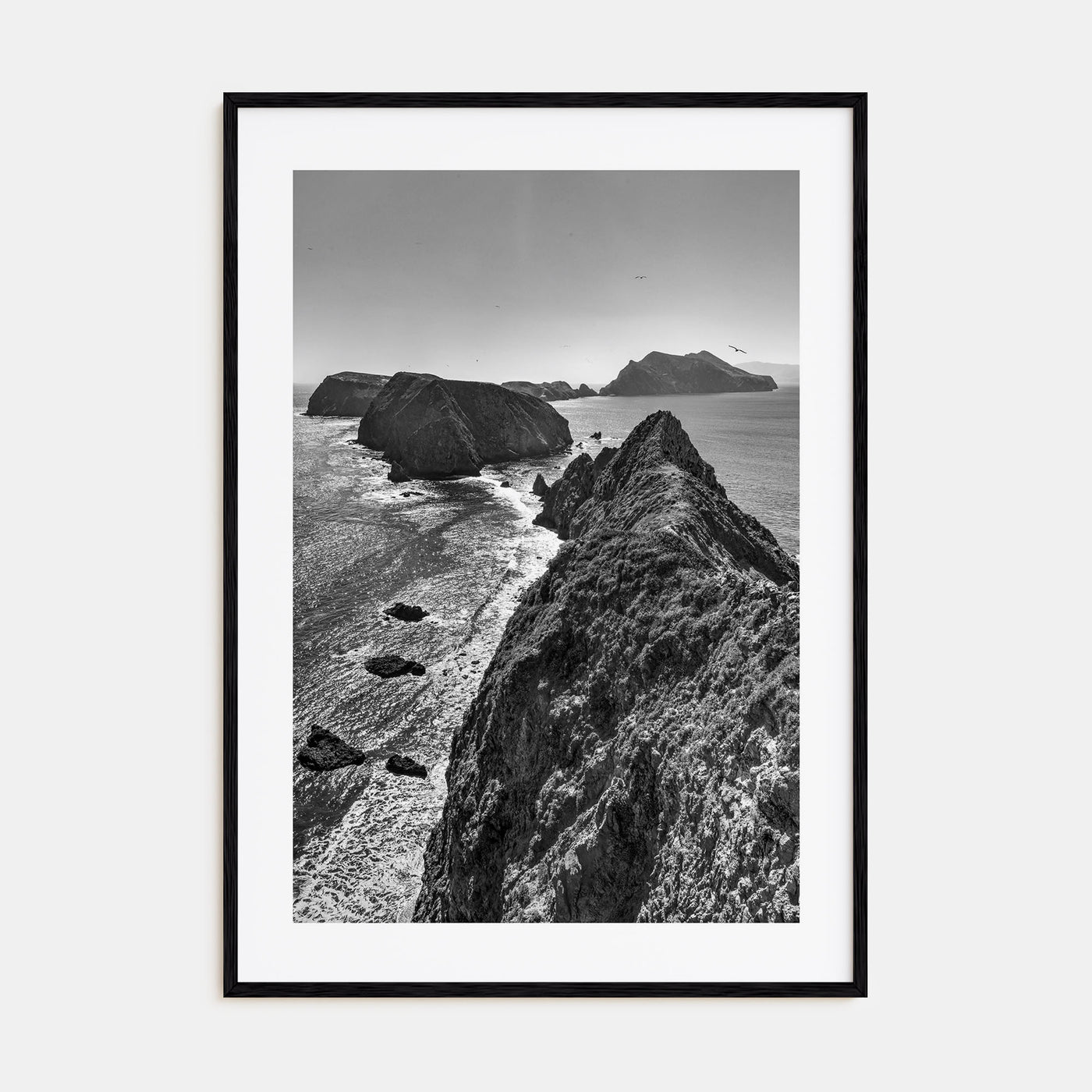 Ventura Photo B&W No 3 Poster