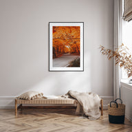Vermont Photo Color No 2 Poster