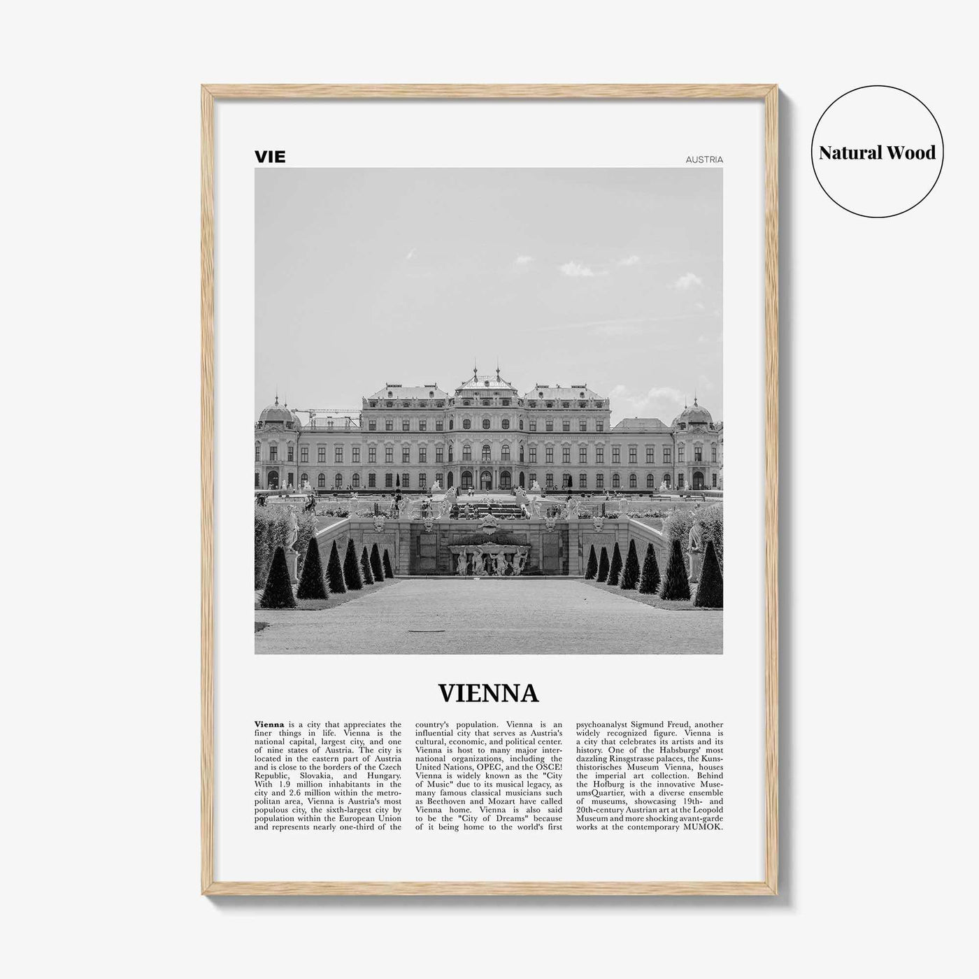 Vienna Print Black and White No 2, Vienna Wall Art, Vienna Poster, Vienna Photo, Vienna Wall Decor, Austria, Wien, Österreich, Europe