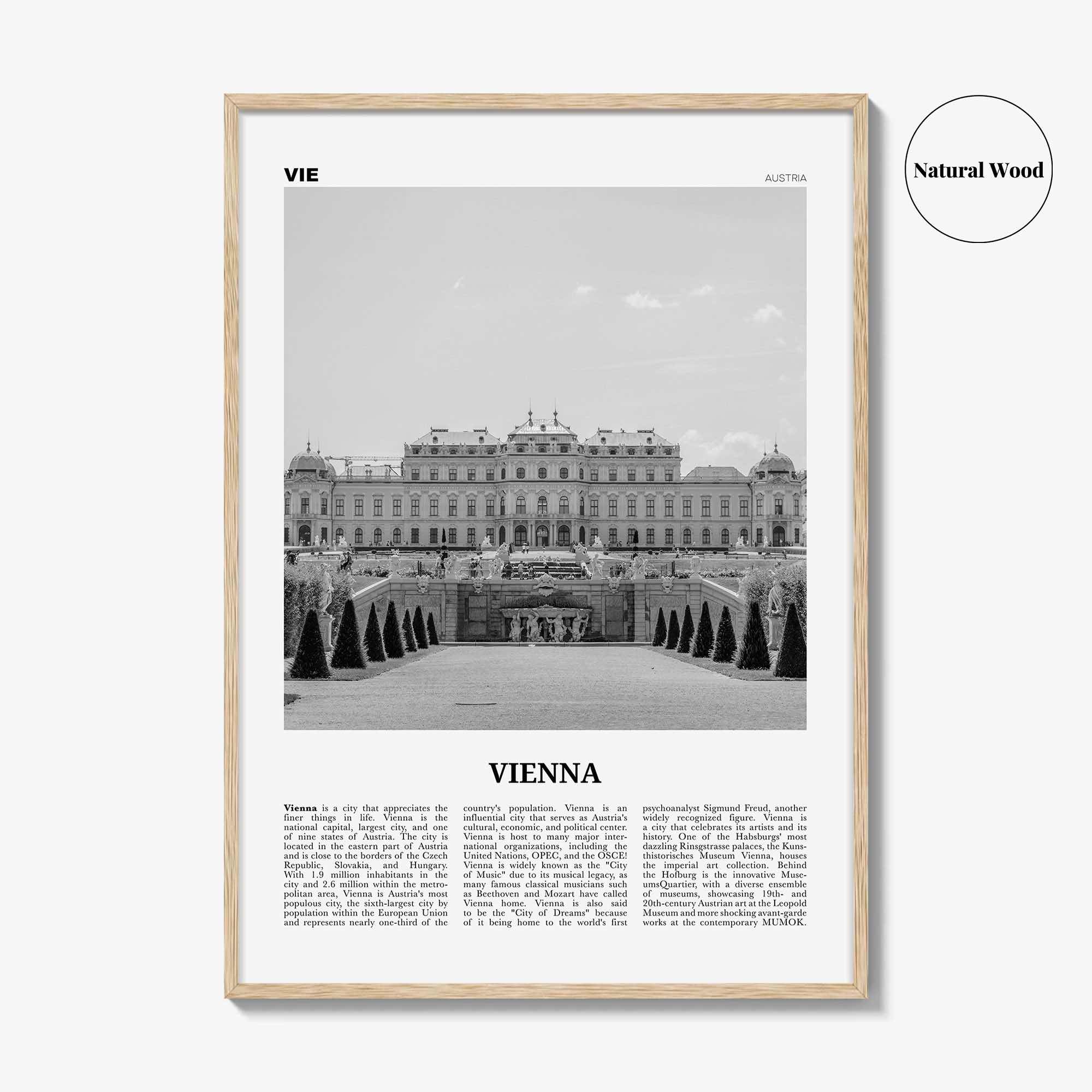 Vienna Print Black and White No 2, Vienna Wall Art, Vienna Poster, Vienna Photo, Vienna Wall Decor, Austria, Wien, Österreich, Europe