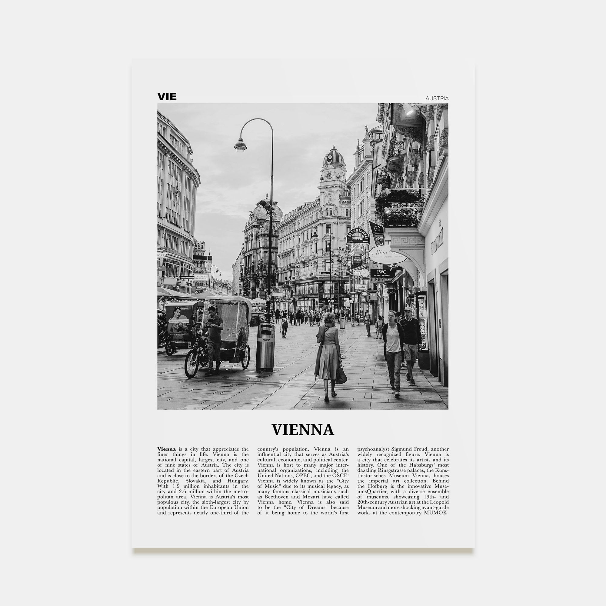 Vienna Travel B&W No 4 Poster