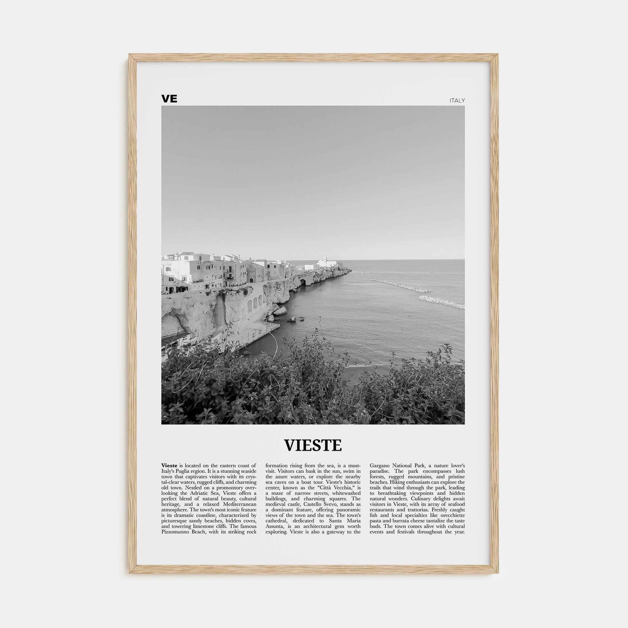 Vieste Travel B&W Poster