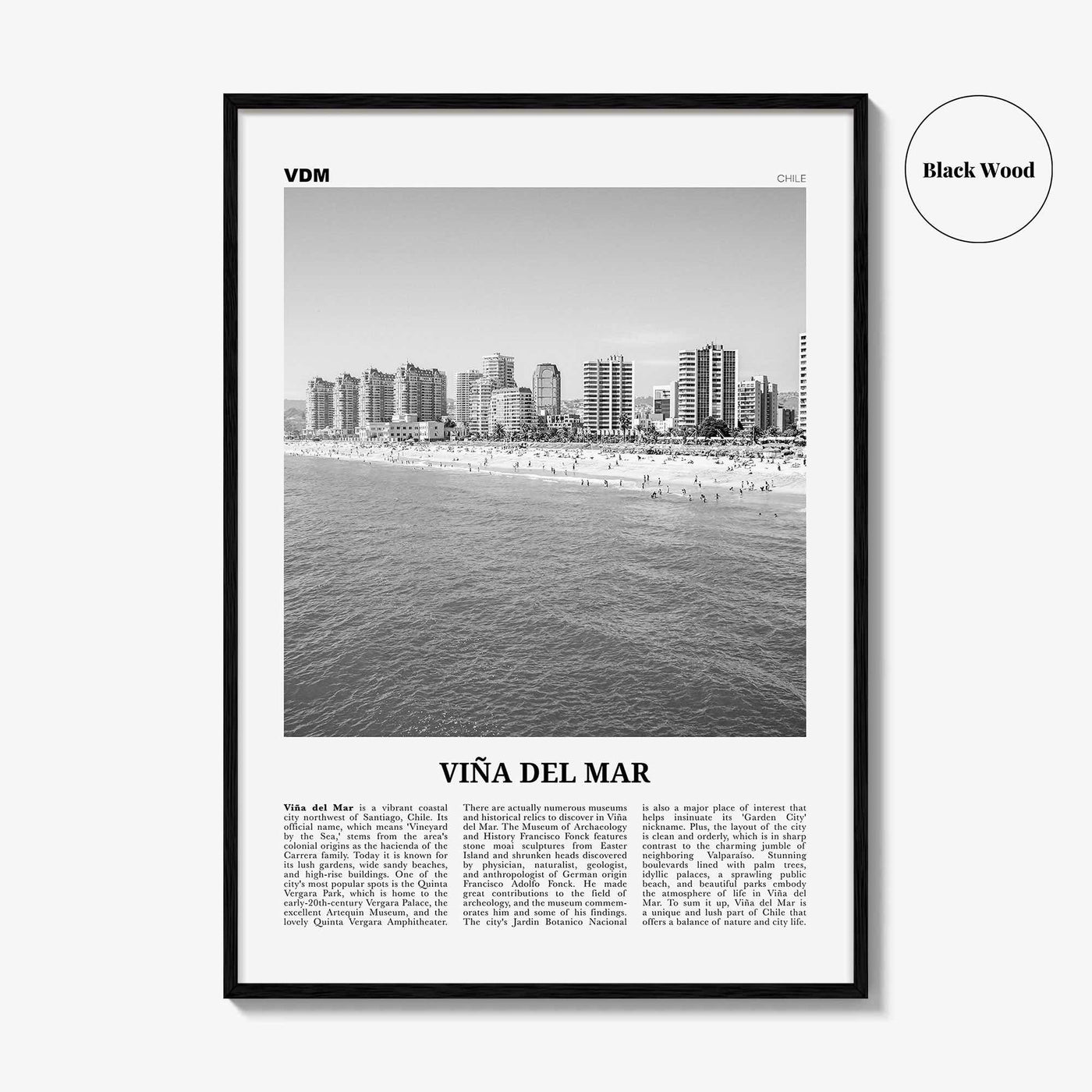 Vina Del Mar Print Black and White, Viña del Mar Wall Art, Viña del Mar Poster, Viña del Mar Photo, Viña del Mar Décor, Viña del Mar Map