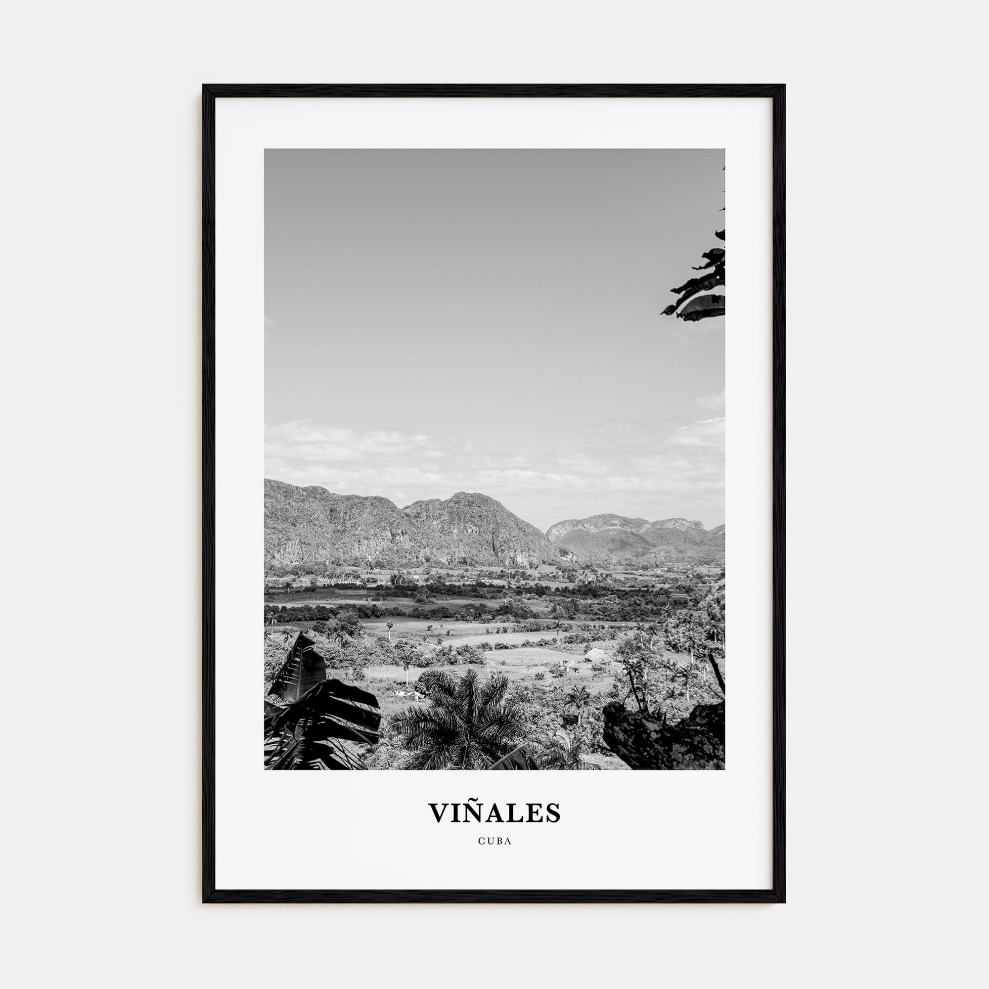 Viñales Portrait B&W Poster