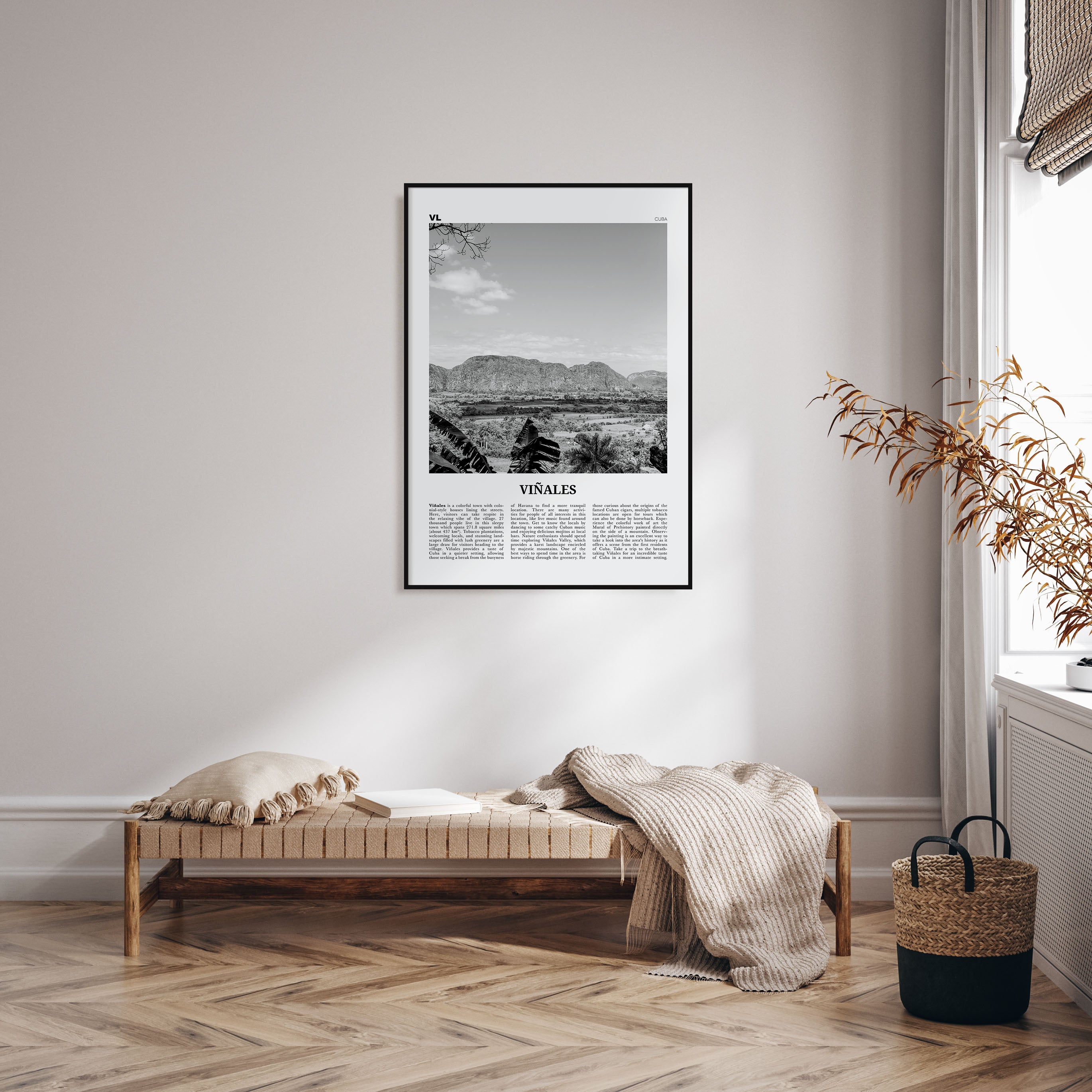 Viñales Travel B&W Poster