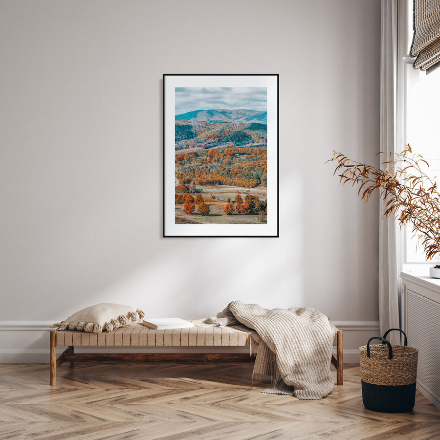 Virginia Photo Color No 1 Poster