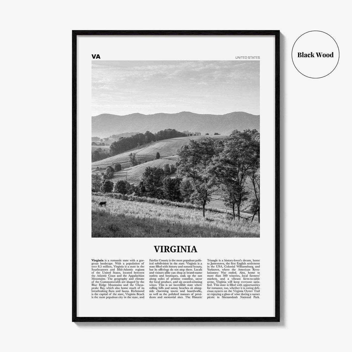 Virginia Print Black and White No 1, Virginia Wall Art, Virginia Poster, Virginia Photo, Virginia Wall Decor, USA, United States
